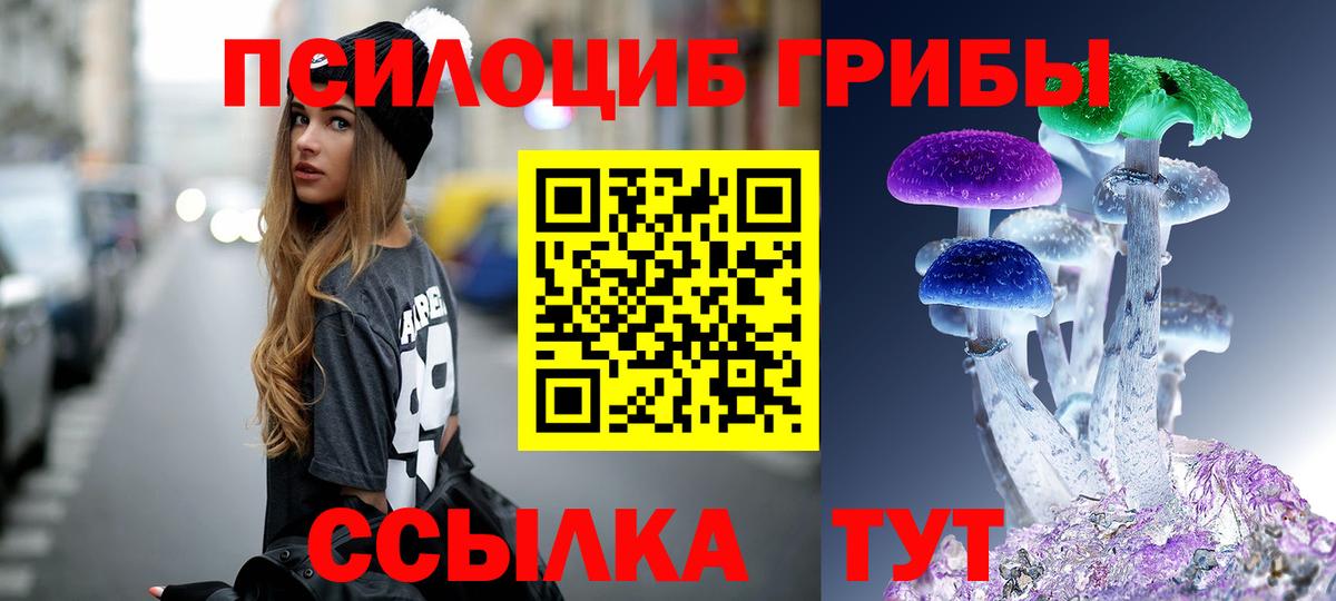 Галлюциногенные грибы Psilocybine cubensis Сыктывкар