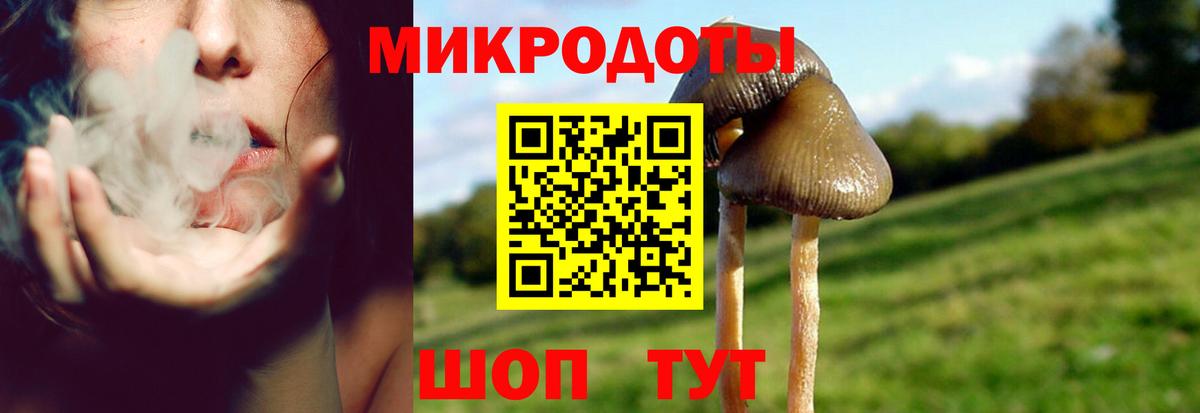 Псилоцибиновые грибы мухоморы  Вход с VPN  Сыктывкар 